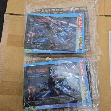 GUNPLA 45주년 기념 모델 프라모델 2개 세트