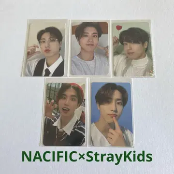 Stray Kids NACIFIC 트레이딩 카드 한