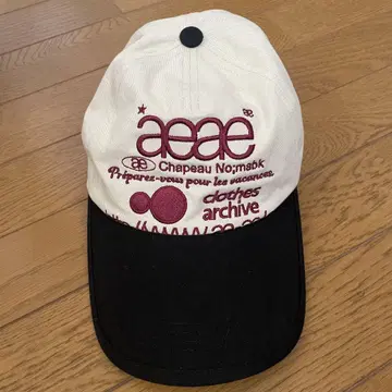 aeae WEB LOGO CAP