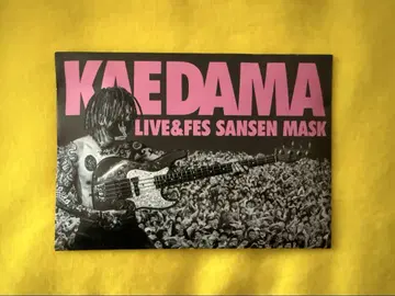 맥시멈 더 호르몬 KAEDAMA 마스크