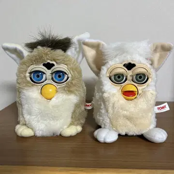 퍼비 베이지와 화이트