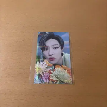 세븐틴 섹터 17 라키드로 민하오