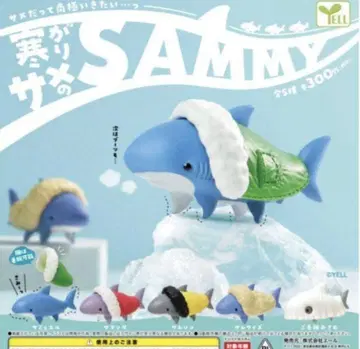 추위를 잘 타는 상어 SAMMY