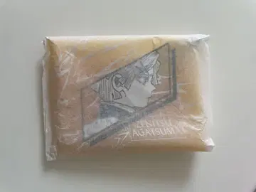 귀멸의 칼날 아가츠마 젠이츠 미니 클리어 케이스 컬렉션