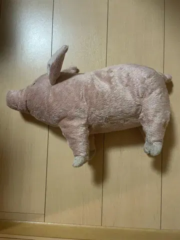 돼지 봉제 인형