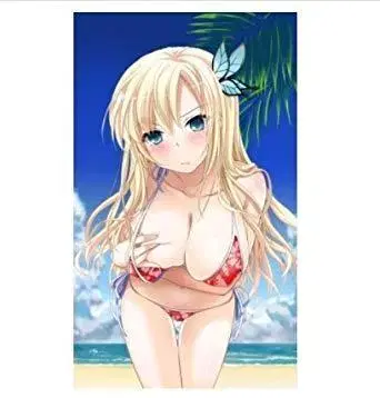 나카지마 유카 나는 친구가 적다 극세사 타월 가시와자키 세이나