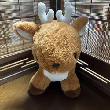 봉제 인형 세트
