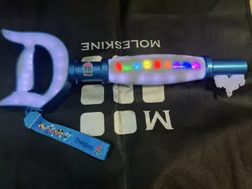 디즈니랜드 70주년 Key to Disneyland 캘리포니아