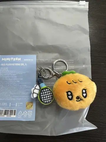 SEVENTEEN 성광 MINITEEN 팝업 키링