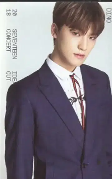 세븐틴 DINO 2018 IDEAL CUT IN SEOUL 26