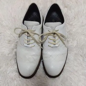 정가 38500엔 에코 골프화 클래식 하이브리드 25cm