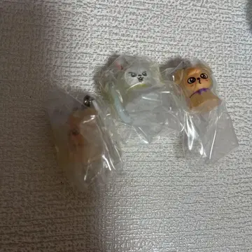 SKZOO 메지루시 액세서리
