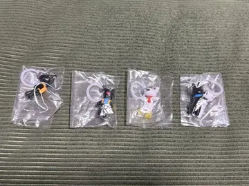 리사와 가스파르 메지루시 액세서리