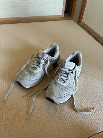 오니츠카타이거
