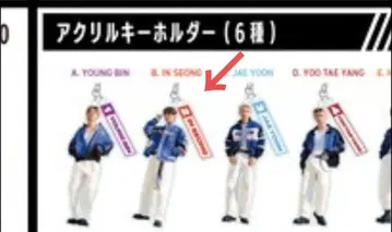 SF9 LOVE RACE 인성 아크릴 키링