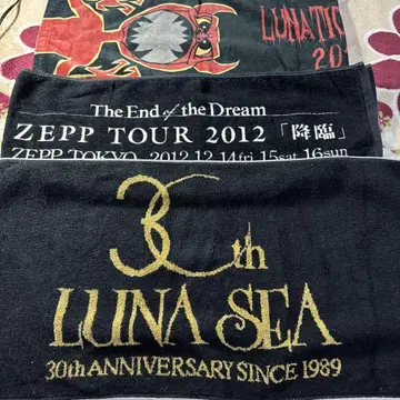LUNA SEA 타월