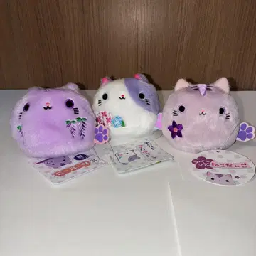 보관품! 고양이 3개 세트 산에이 무역 꽃 시리즈