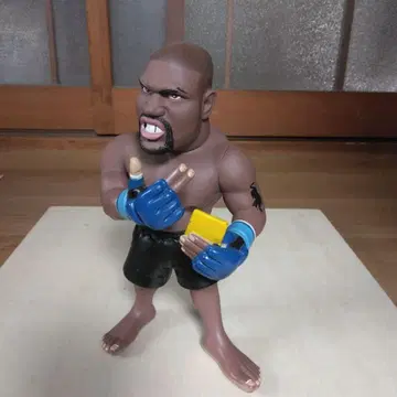 종합격투기(MMA) 심판 존 맥카시