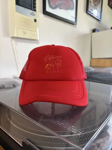 빨간색 Delicious Vinyl Delicious Vinyl 워크 캡