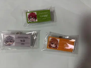 카라피치 파라다이스 2025 명찰 배지