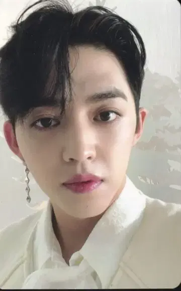SEVENTEEN 아이노치카 S.COUPS 트레이딩 카드