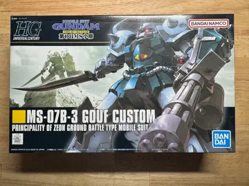 HGUC 구프 커스텀