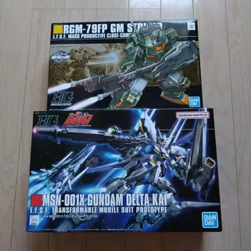 HG RGM-79FP GM 스트라이커 & MSN-001X 건담 델타 카이