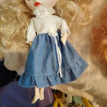 아이시 인형 본체와 의류