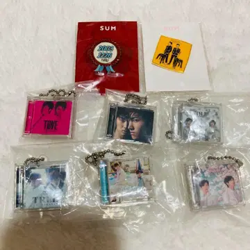 가격 인하 동방신기 미니어처 CD 컬렉션 키링 SUM 핀 배지 세트