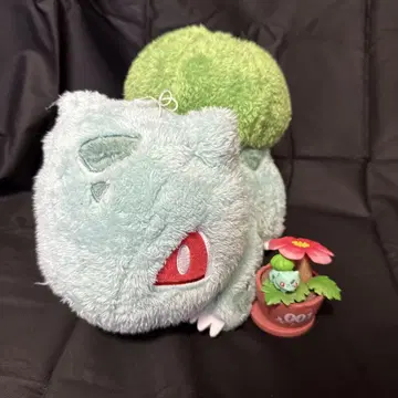푸시키다네 봉제 인형 약 23cm 피규어 포함