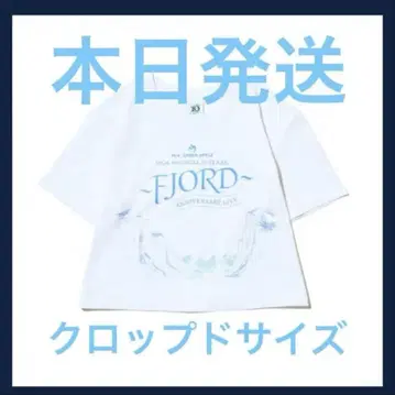 미개봉 새상품 Mrs. GREEN APPLE 티셔츠 FJORD 피요르드
