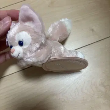 어깨에 승차한 리나벨