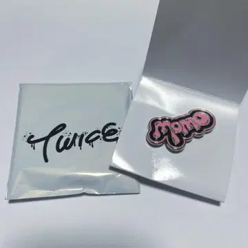 TWICE 랜덤 핀 배지 허벅지