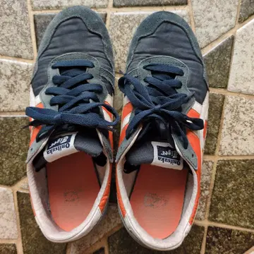 오니츠카타이거
