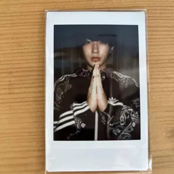 toa 폴라로이드