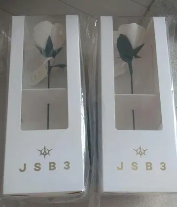 미개봉 새상품 2025 JSB3 회중시계 아트 로즈 3세대