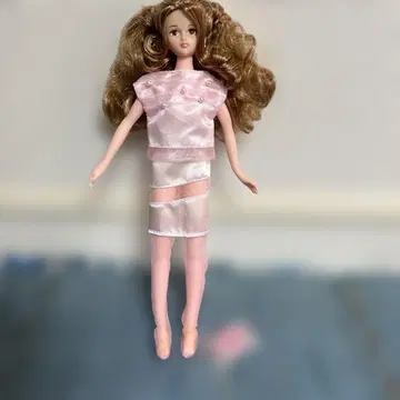 리카짱 제니 프렌드 시온 포토제닉 바디