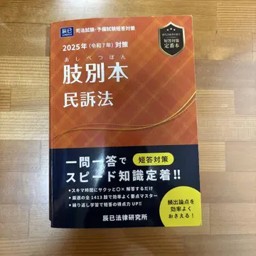 지부별 민사소송법 2025년 대책