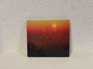 bacho 최고의 신작 CD