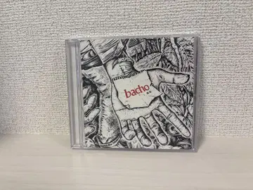 bacho 해저 CD