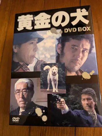 황금 개 DVD BOX