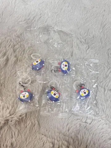 TRUZ 메지루시 액세서리 WOOPY 우피 존우