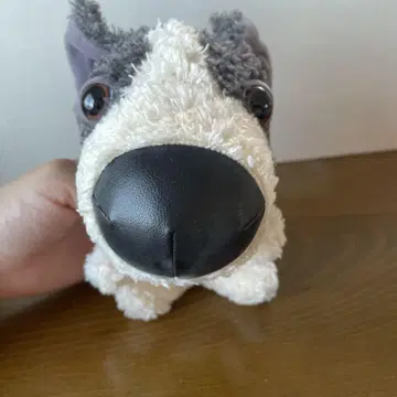 개 봉제 인형 파피용 THE DOG