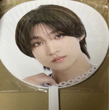 ICEx 시가 리쿠 부채