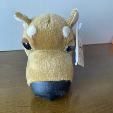 개 얼굴 봉제 인형 시바견