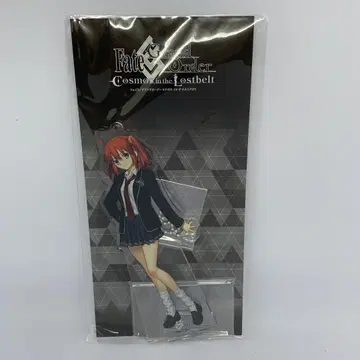 Fate FGO 여자 주인공 불가역 폐기 구멍 이도 픽업 아크릴 마스코트