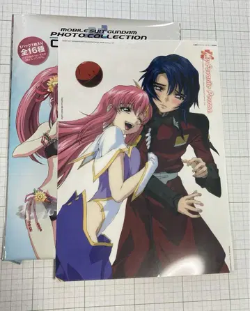 건담 SEED DESTINY 사진 컬렉션 Cell DX 아스란 미아