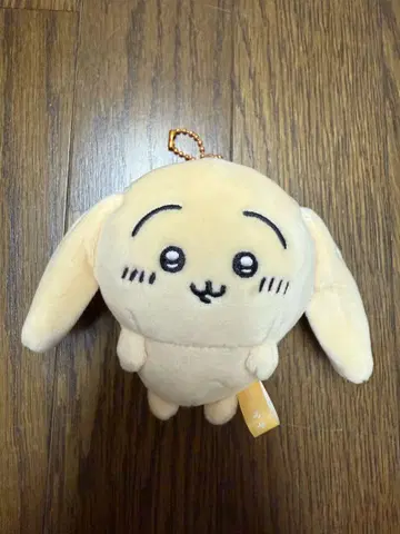 귀가 처진 토끼 마스코트