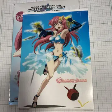 건담 SEED DESTINY 사진 컬렉션 Cell DX 미아