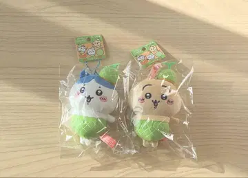 치이카와 토끼 하치와레 지역 마스코트 멜론 홋카이도 2개 세트